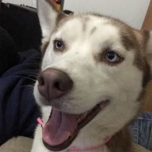 Meet your Posher, Lena